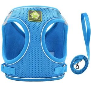 New pet leash for dogs and cats